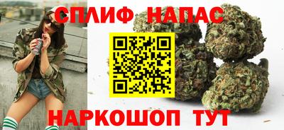 spice Кингисепп