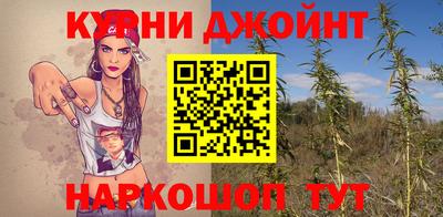 spice Кингисепп