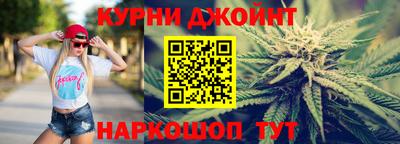 spice Кингисепп