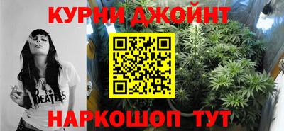 spice Кингисепп