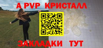 spice Кингисепп