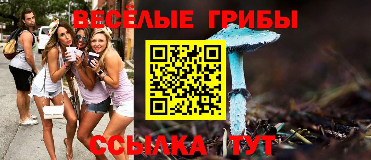 Галлюциногенные грибы ЛСД  Псилоцибиновые грибы мухоморы  Вход с VPN  Кубинка 